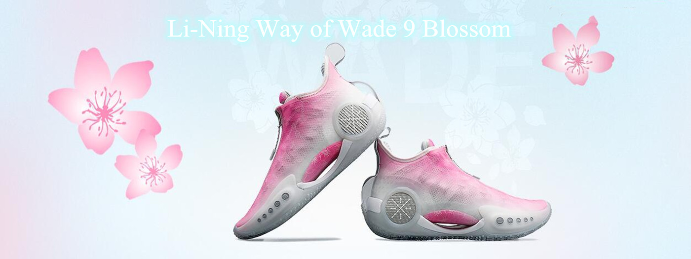 Way of Wade Shoes