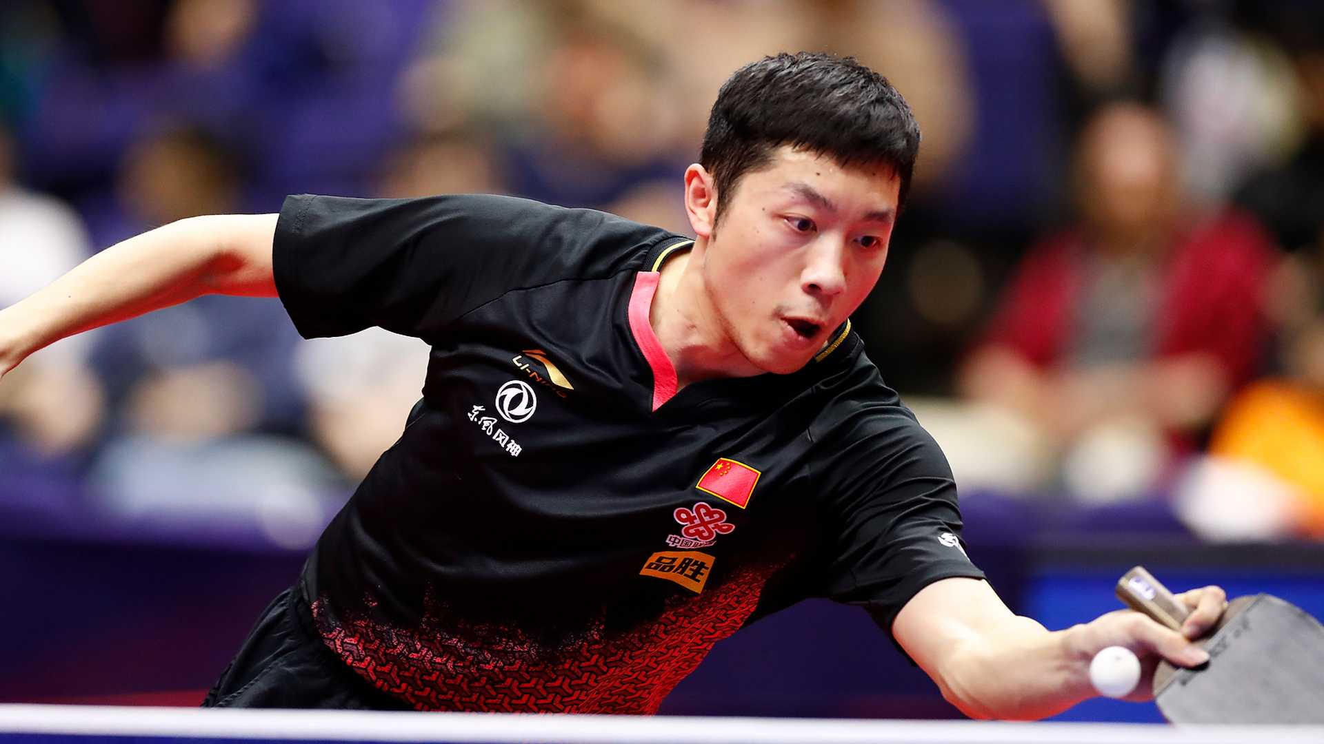 Xu Xin