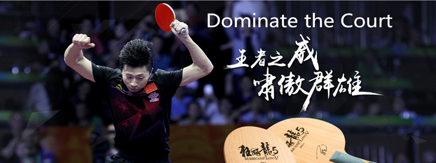 Table Tennis Table Tennis