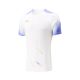 Li Ning Fast Dry Men's Badminton Shirts