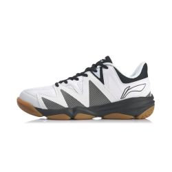 Li Ning 2022 Men's Basic Badminton Shoes