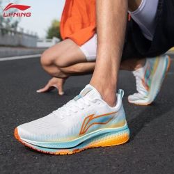 Li Ning Rouge Rabbit 5 V Men's Marathon Running Shoes