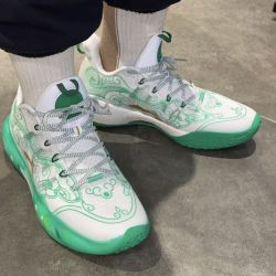 Li Ning Yushuai XIV 14 Low - Tiger tally/Hufu