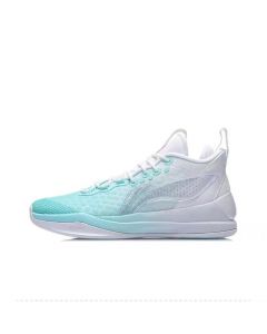 Li Ning Wade Shadow 1 Professional Basketball Shoes