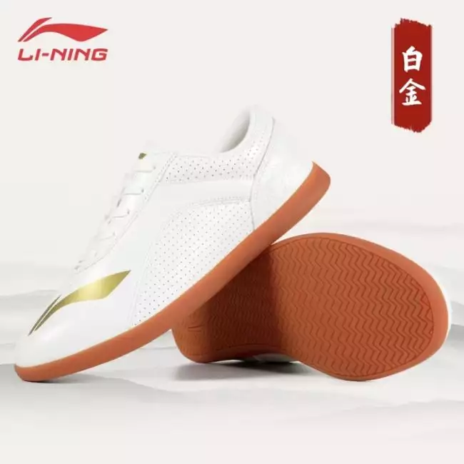 Li Ning Breathable Martial Arts Tai Chi Kung Fu Shoes
