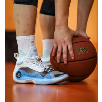 Li Ning Way of Wade 10 TNS“Team No Seep”